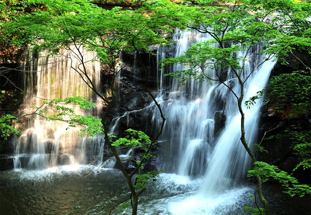 扇の滝